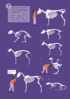 У ветеринара: как устроена медицина для животных